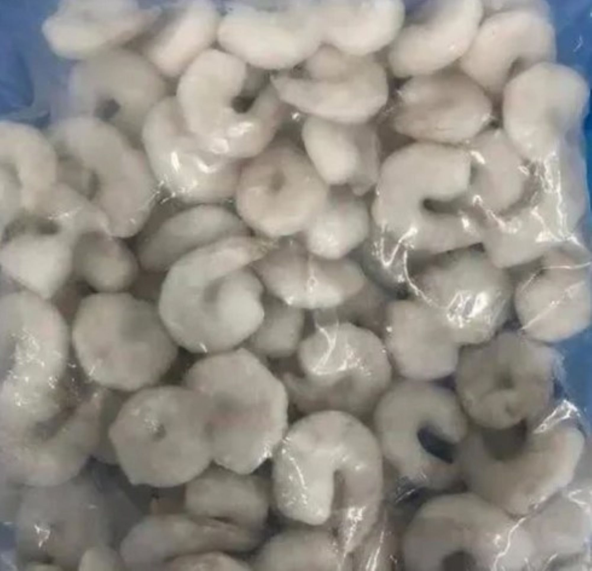 21-25 frozen shrimps.jpg1